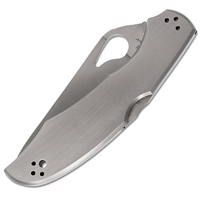 Byrd Knife by Spyderco Cara Cara 2 SS P