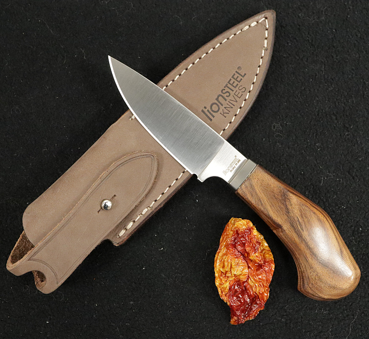 LionSTEEL Willy EDC Knife Santos Wood
