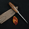 LionSTEEL Willy EDC Knife Santos Wood