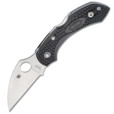 Spyderco Dragonfly 2 Wharncliffe - 1