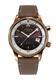 Alpina Seastrong Diver 300 Heritage Brown Dial Automatic - 1/6