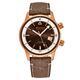 Alpina Seastrong Diver 300 Heritage Brown Dial Automatic - 2/6