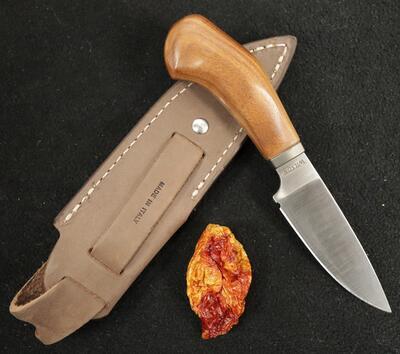 LionSTEEL Willy EDC Knife Santos Wood - 2