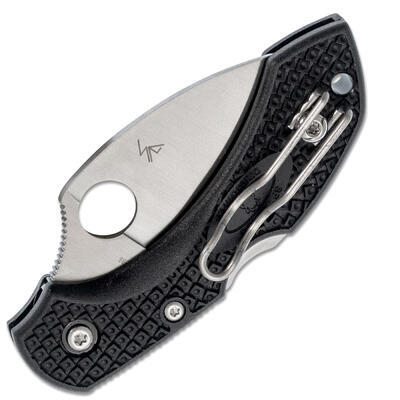 Spyderco Dragonfly 2 Wharncliffe - 3